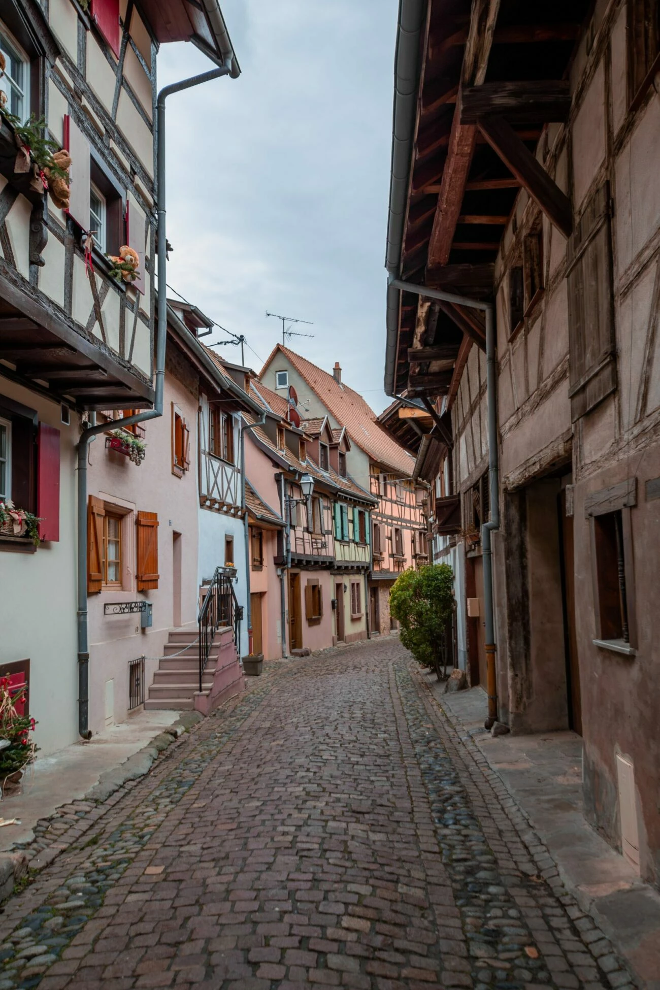 Visiter l'alsace à noël