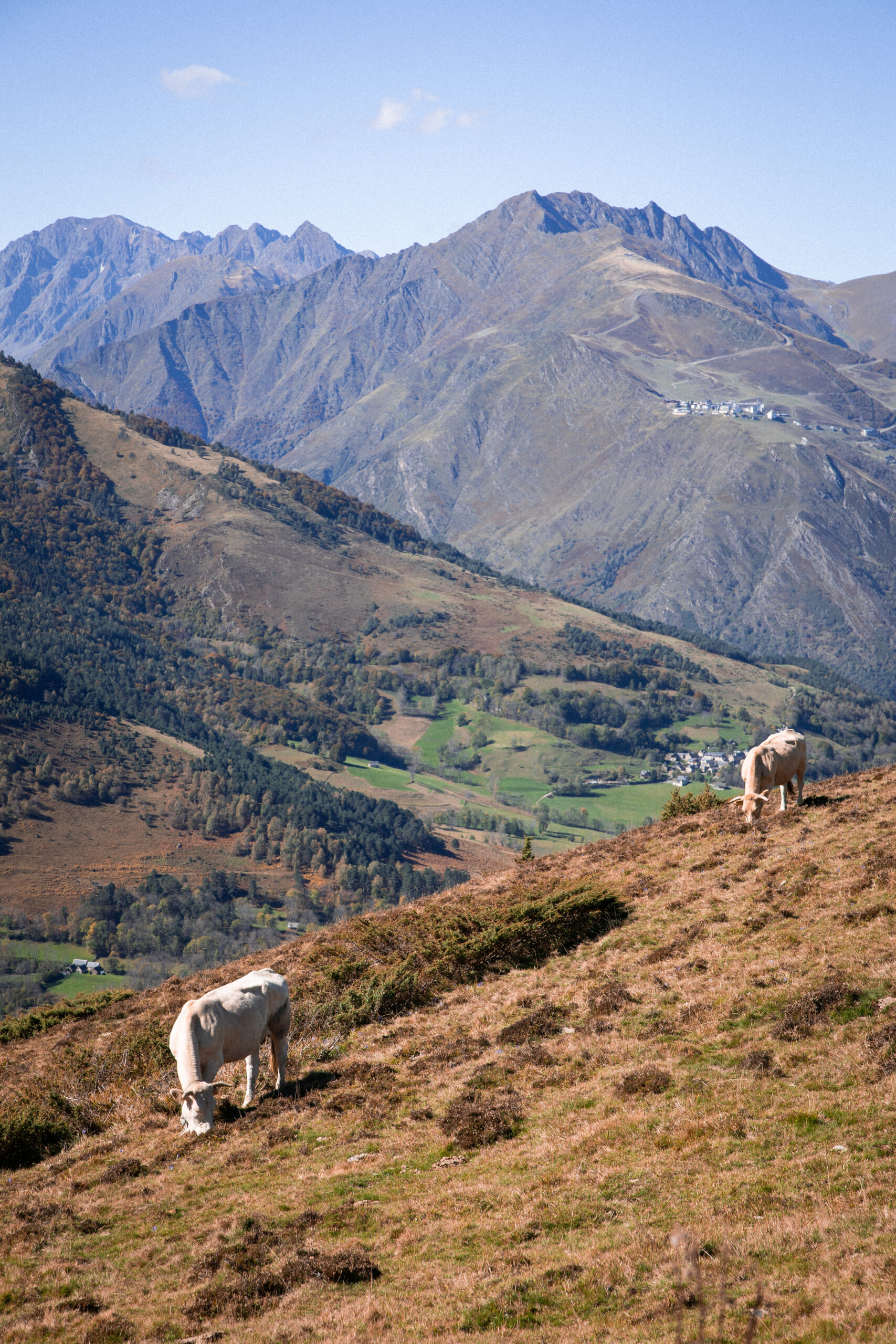 Hautes-pyrénées