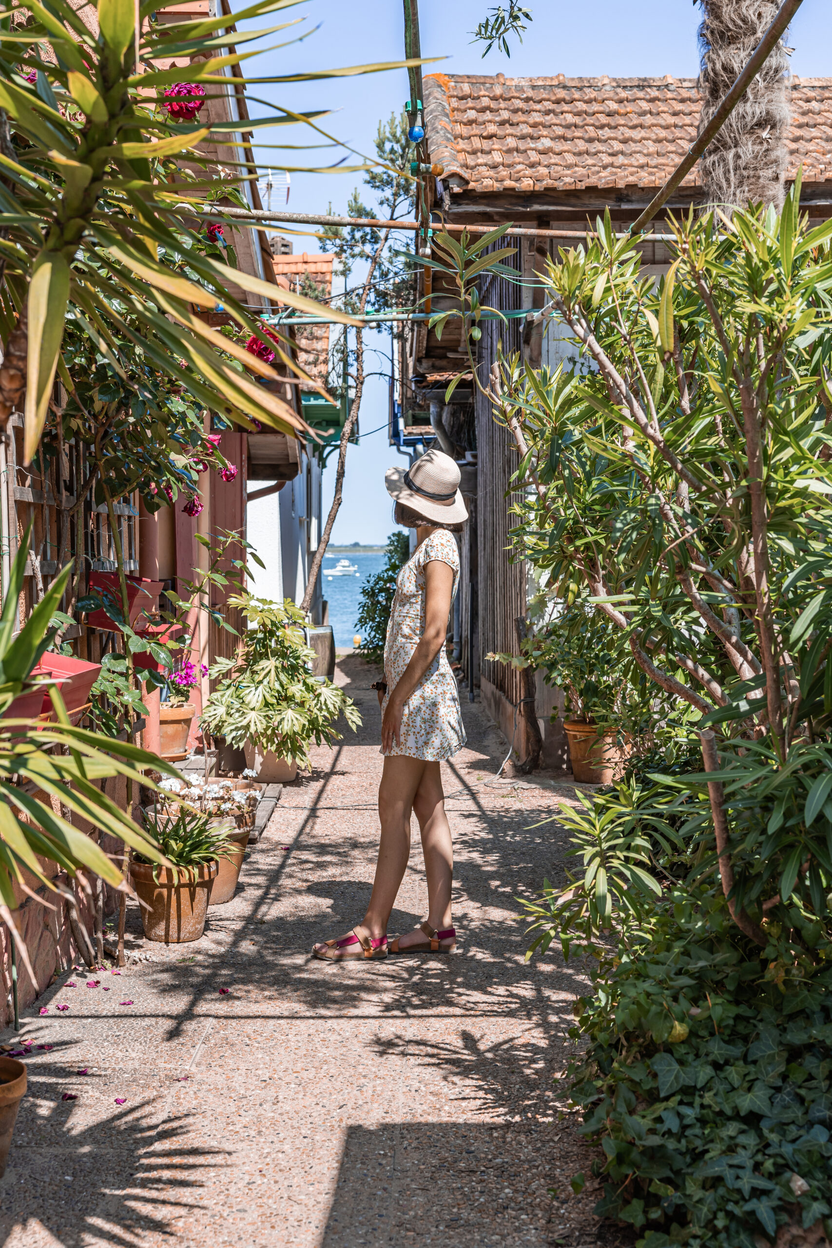 Que faire sur le Bassin d'Arcachon en 4 jours