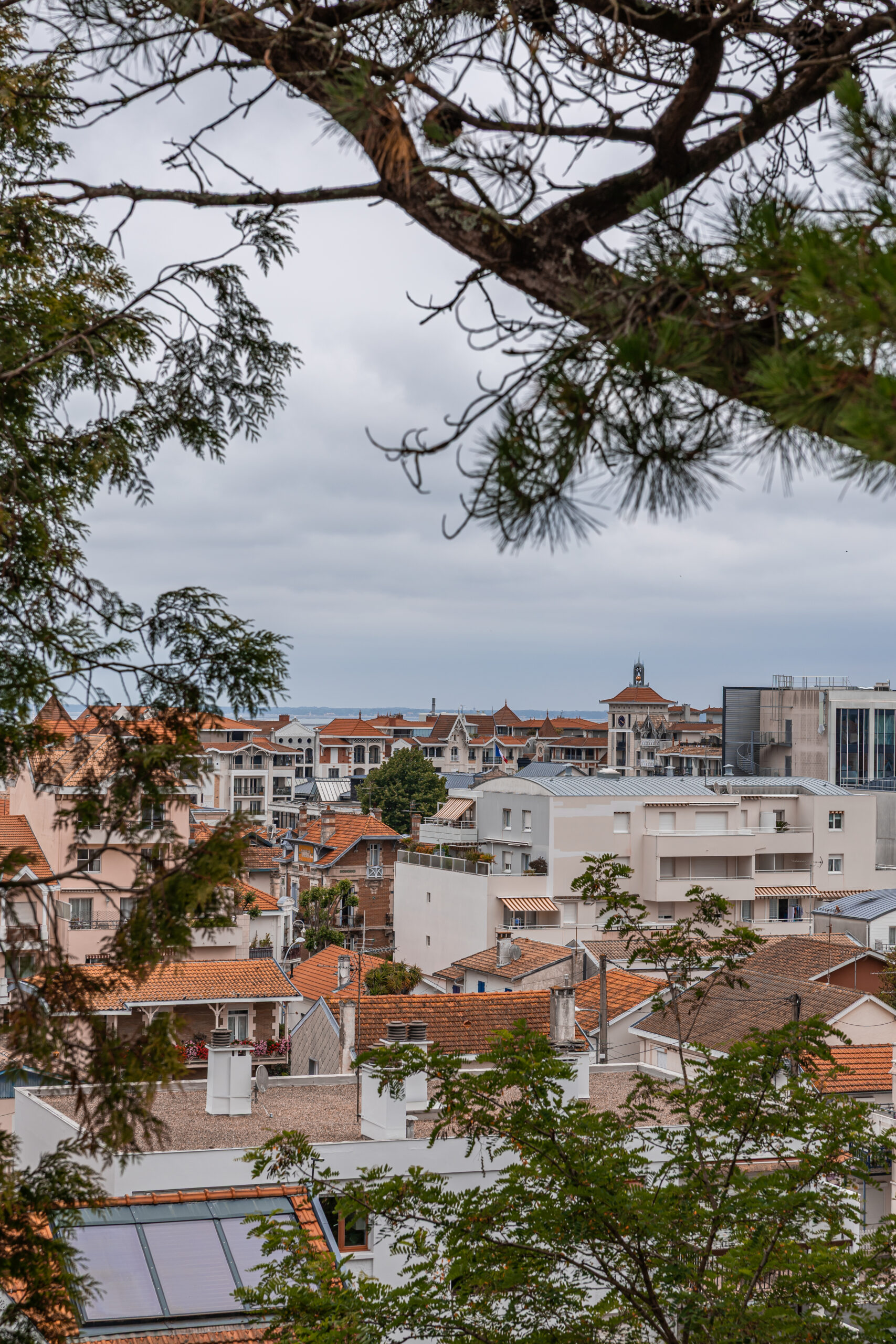Que faire sur le Bassin d'Arcachon en 4 jours