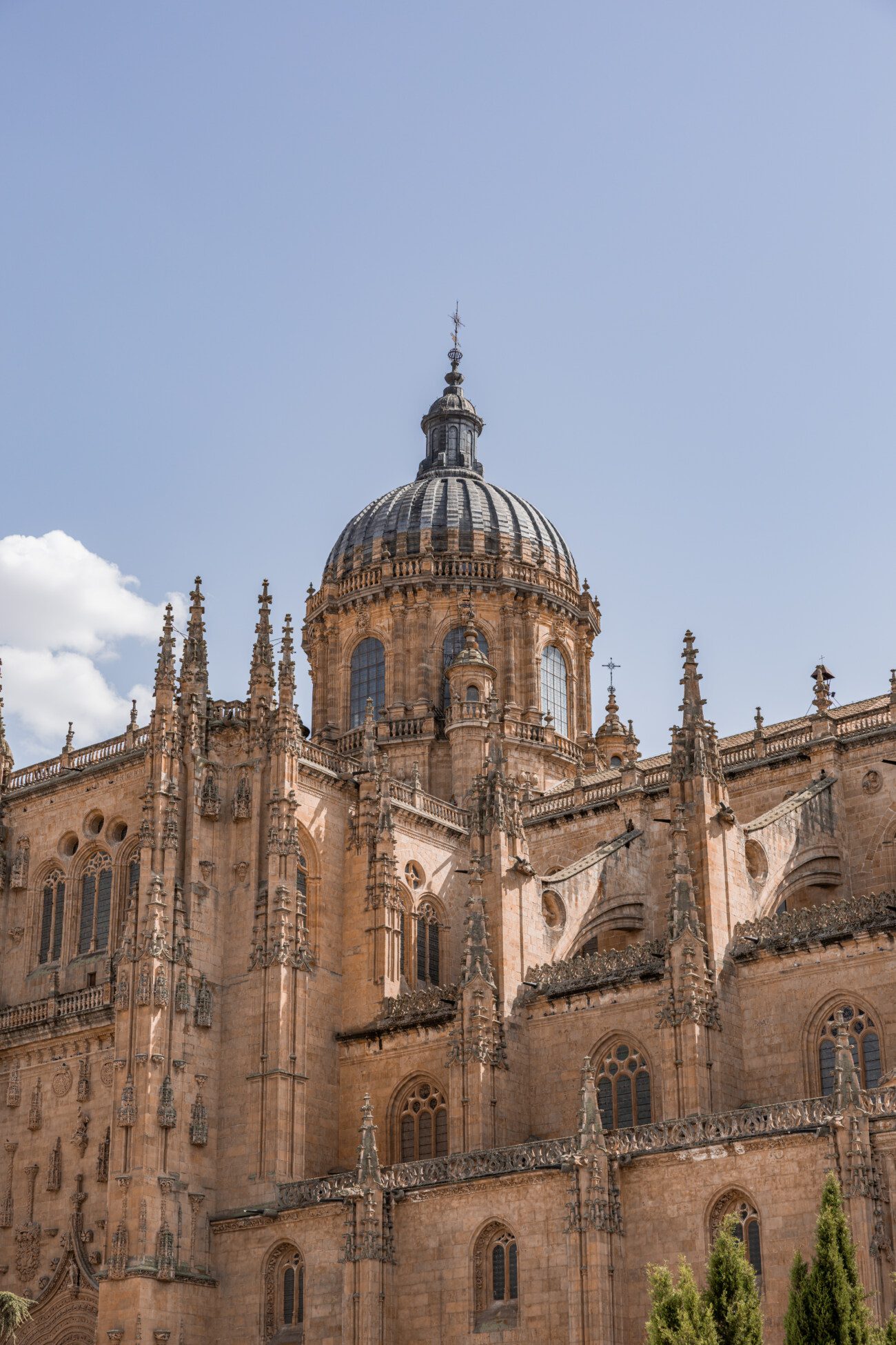 Visiter Salamanque en une journée