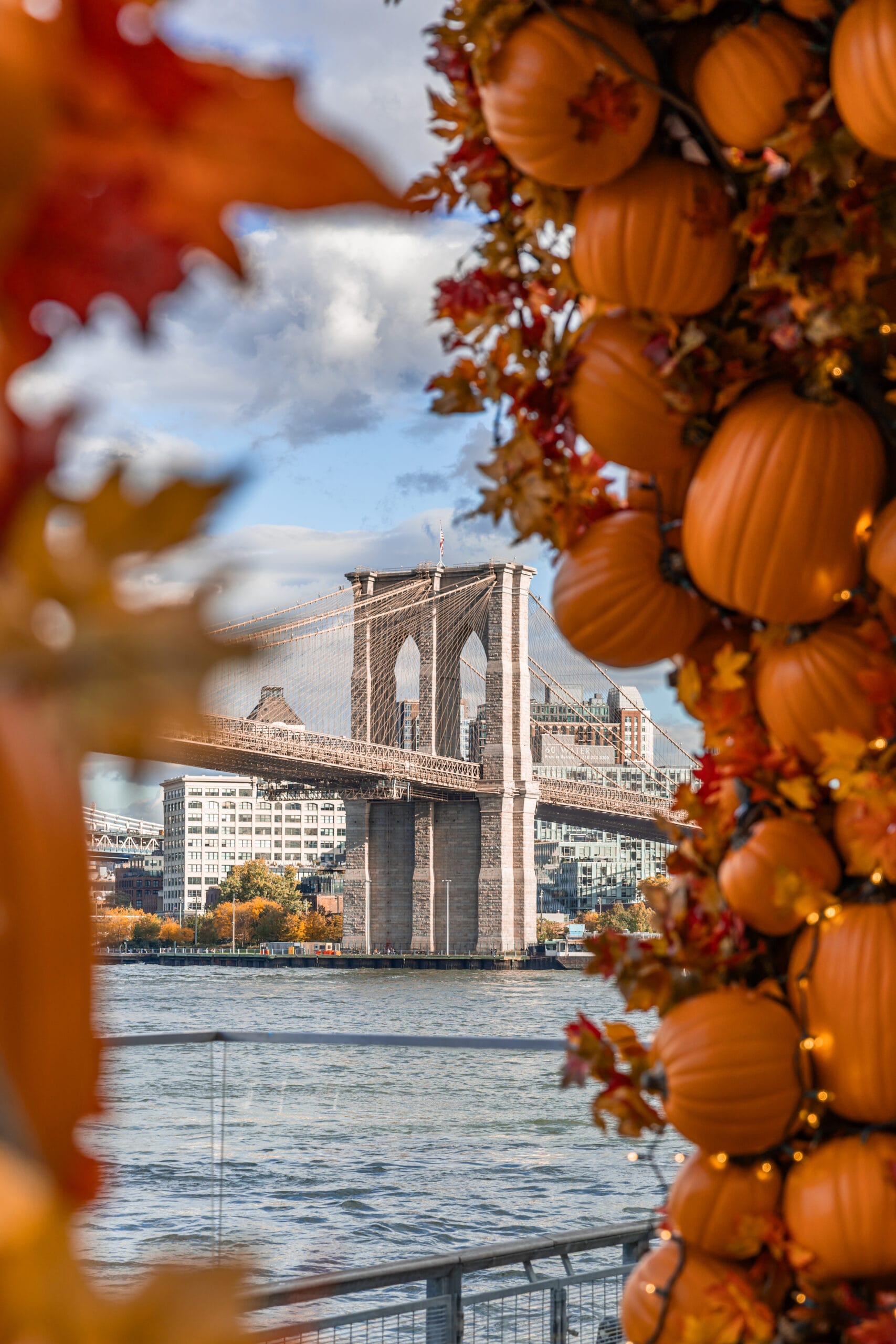 pier 17 halloween a New York