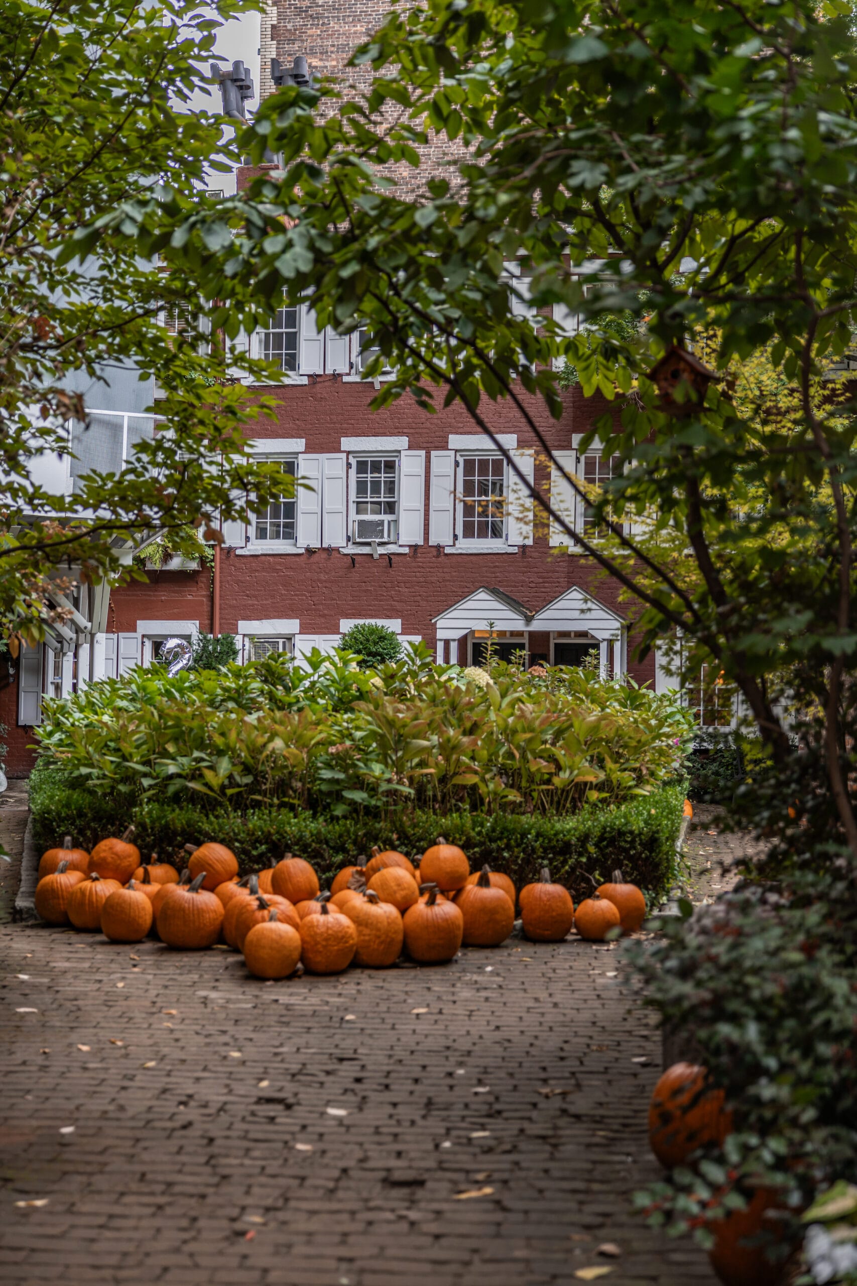halloween New York