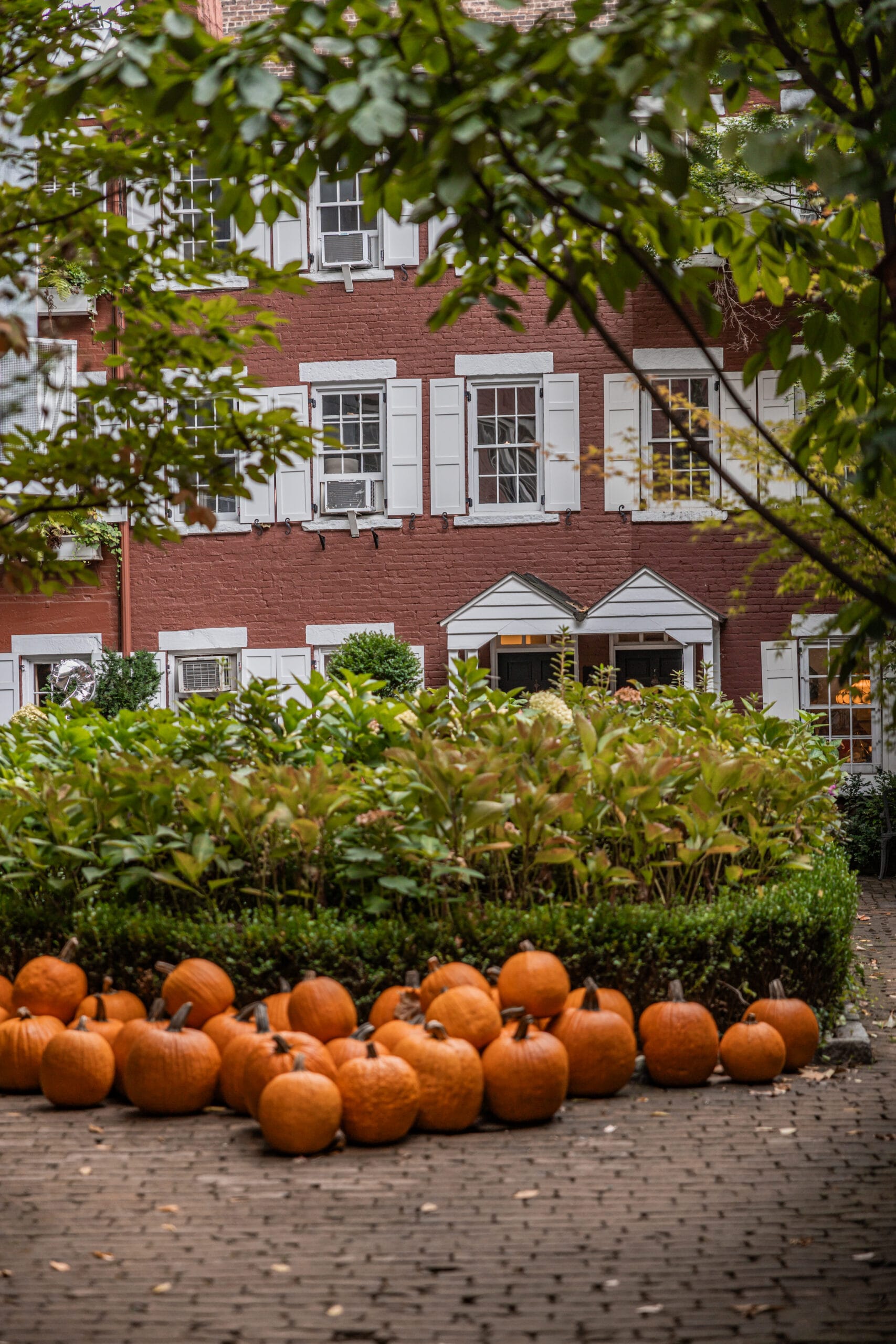 les plus belles decorations d'halloween New York