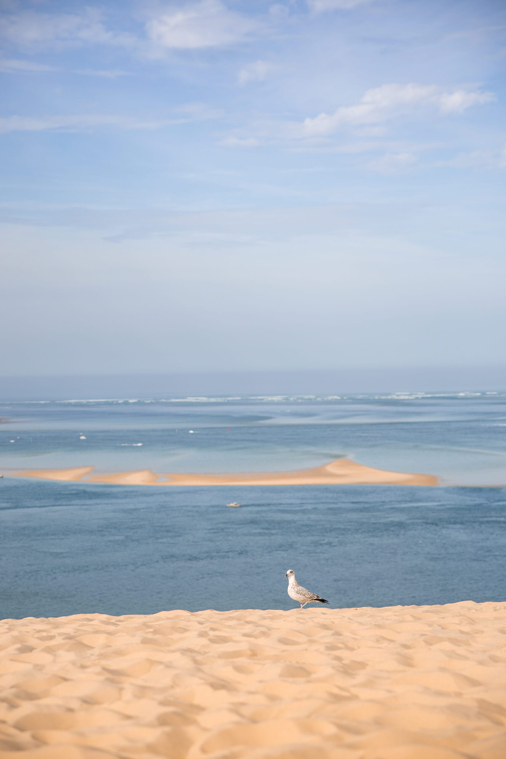 Que faire arcachon